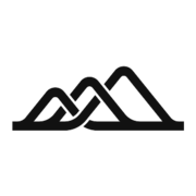 NS1 logo